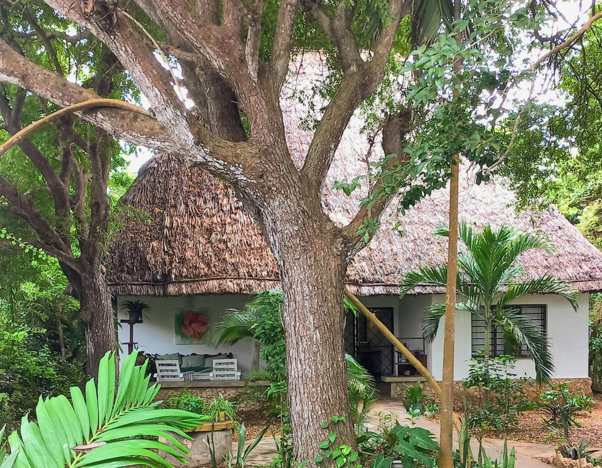 Watamu Beach Cottages Kamer foto